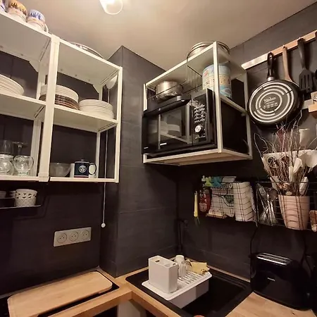 Porte De Paris Standing Apartment Vanves